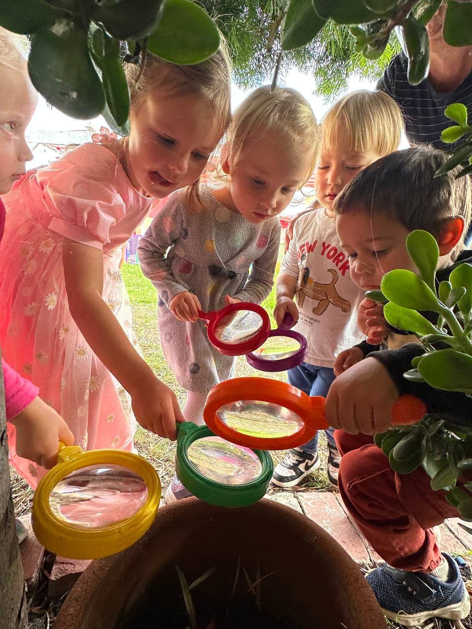 Exploring the garden with magnifiers